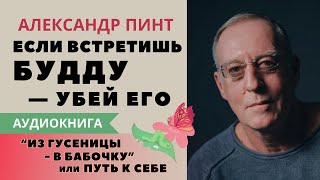 Ваш ум может превзойти себя. Из гусеницы в бабочку. А.А.Пинт. (Аудиокнига) Гл.7 ч.2