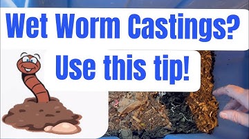 Wet Worm Castings? Use this tip!
