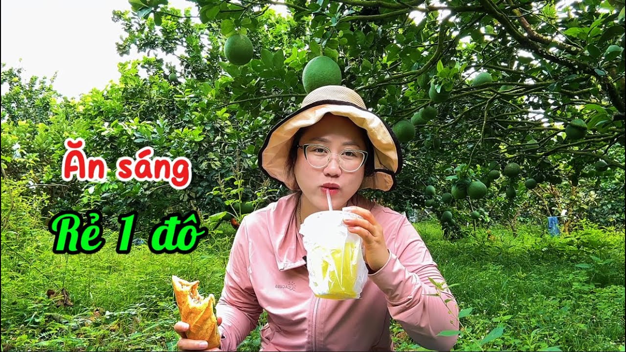 564/ Sau chuyến thăm Cha Như quay về Đồng Nai , Cắt ổi ,Hái ớt bán