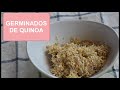 Aprende a preparar tus propios Brotes o Germinados de Quinoa en 48 horas