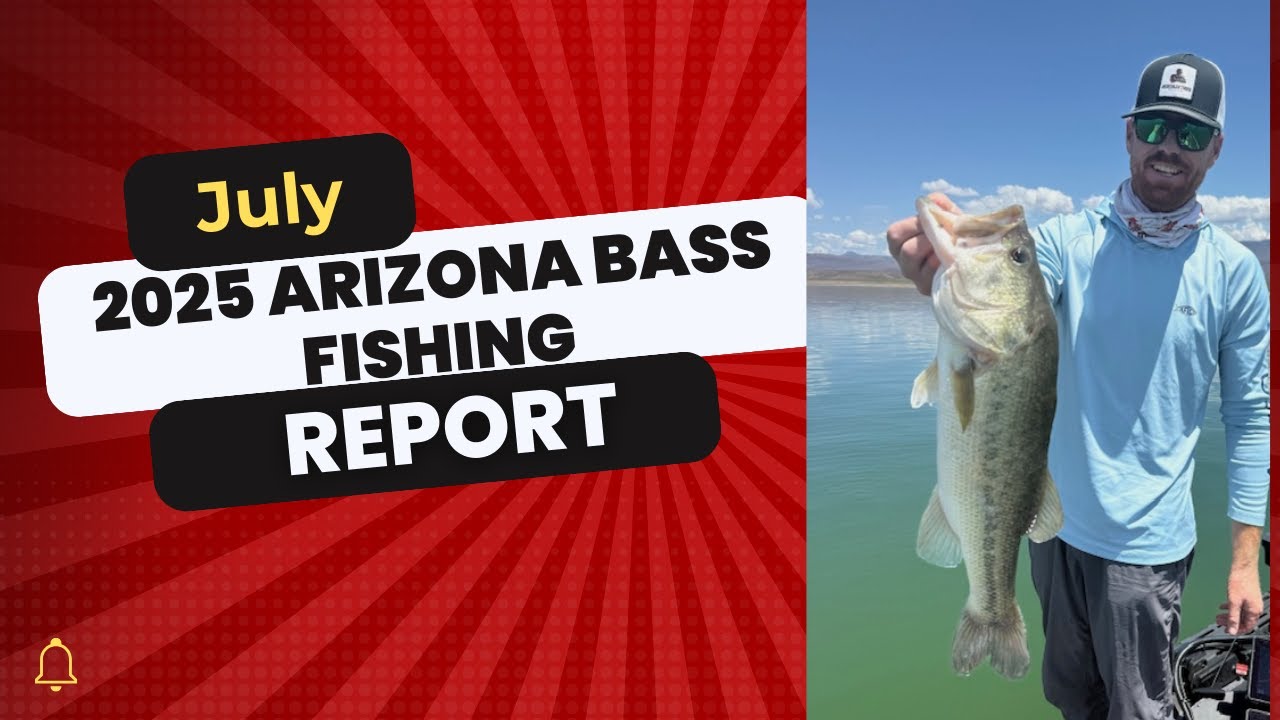 Arizona July Bass Fishing Report 2025