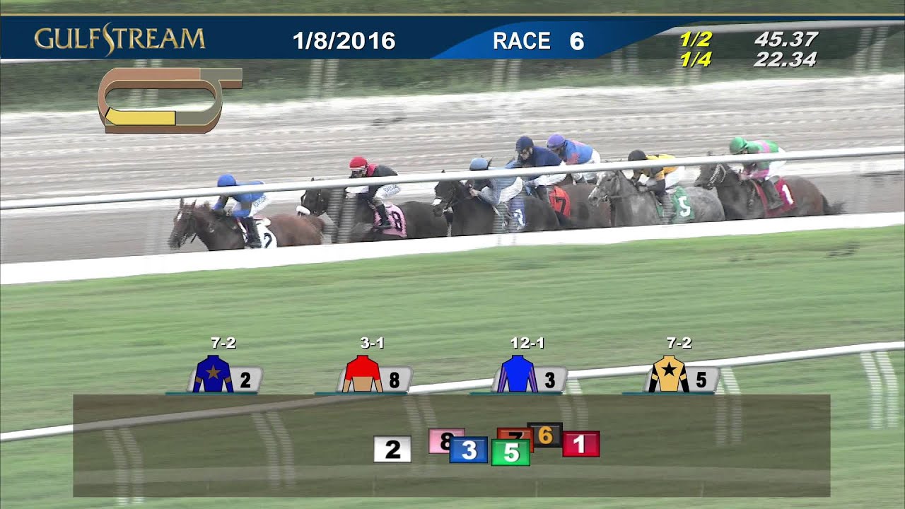 gulfstream live racing video