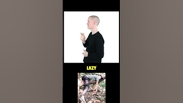 How To Sign LAZY in ASL | American Sign Language
