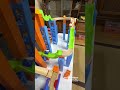 Marble Run Vol. 42 ☆ ASMR Video for Relaxation, Laughter, and Healing
