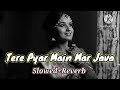 Tere Pyar Main Mar Java Hogi Pyar Ki Jeet Love Hindi Remix Romantic🥠Slowed And Reverb Tere Pyar Main Mar Java Hogi Pyar Ki Jeet Love Hindi Remix Romantic🥠Slowed And Reverb