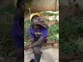 Kya gazab ka mast admin h .....☺😊😕😕 Whatsapp Status Video Download Free