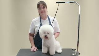 HOW TO CREATE A PET TRIM FOR A BICHON FRISE | ANDIS