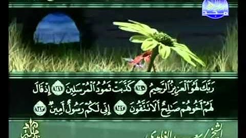 القرآن الكريم - الجزء التاسع عشر - تلاوة سعد الغامدي - 19