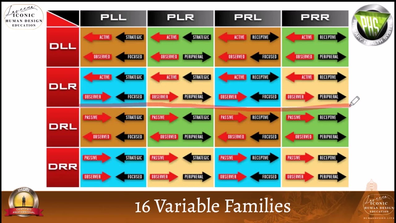 What is an Active VS a Passive Brain in the Human Design System?