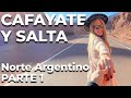 CAFAYATE Y SALTA. Recorriendo el norte argentino - PARTE 1 -