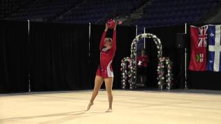 Level 1 ball - SO Nationals 2014