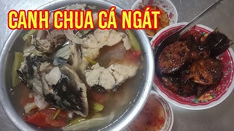 Bữa cơm quê canh chua cá ngát cá kho tiêu | vũ béo channel