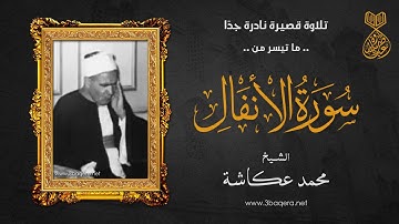 الشيخ محمد عكاشة | الأنفال | تلاوة قصيرة نادرة جدًا جدًا .. لأول مرة