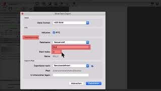 SilverFast 9 – Export-Dialog für den Stapel-Modus (deutsch)