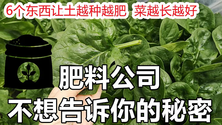 6种免费资源让菜园土越种越肥, 菜越长越好, 肥料公司不想告诉你的秘密㊙️ - 天天要闻