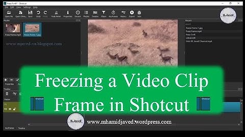 How to add Freeze frames in a video clip in shotcut