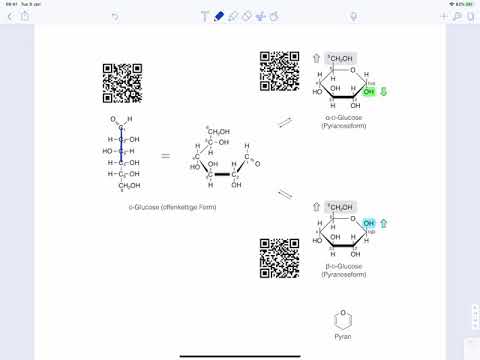 Video: Unterschiede Zwischen Alpha Und Beta Glucose