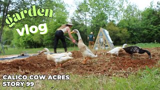 Planting Future Food (and a life update) | Homestead Vlog