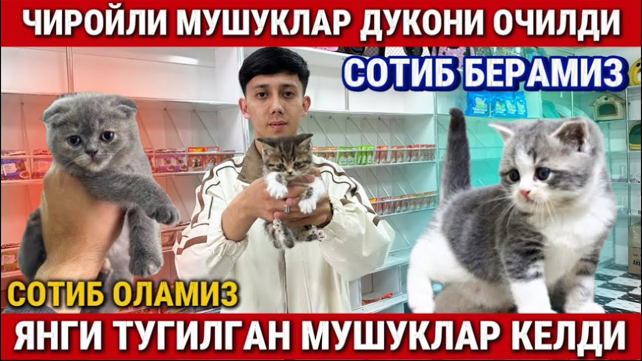 ‼️ТУРТКУЛДА АЖОЙИБ ЯНГИЛИК. ЯНГИ ТУГИЛГАН МУШУКЛАР КЕЛДИ ТЕКИНГА