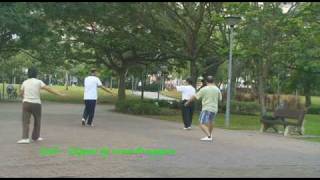 Snippets2: Crouching Elderly Hidden TaiChi