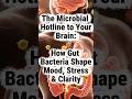 002. The Microbial Hotline to Your Brain: How Gut Bacteria Shape Mood, Stress & Clarity