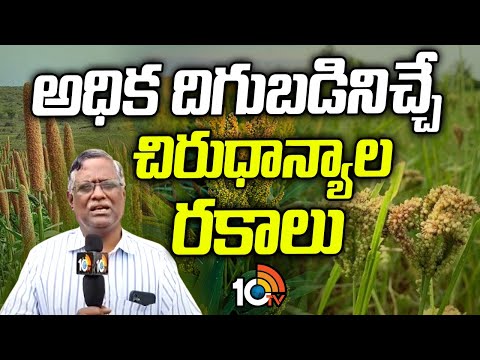 అధిక దిగుబడినిచ్చే చిరుధాన్యాల రకాలు | Millet Cultivation Best Tips | Matti Manishi | 10TV News - 10TVNEWSTELUGU