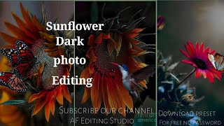 Sunflower photo editing in lightroom app l Dark sunflower Editing/AF Editing Studio screenshot 3