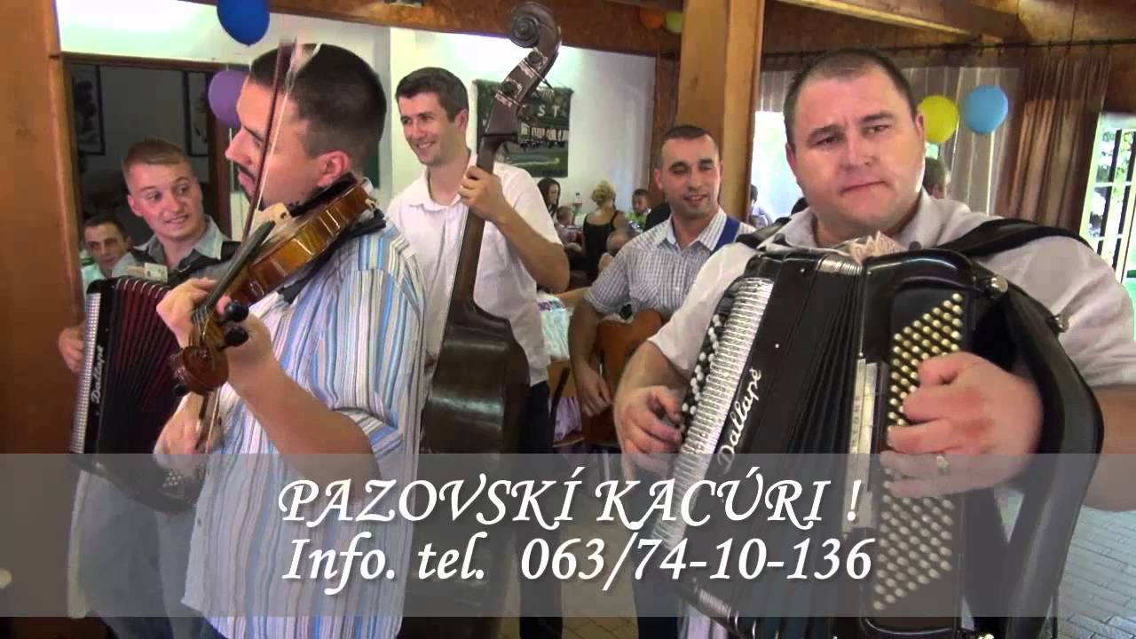 Pazovskí Kacúri
