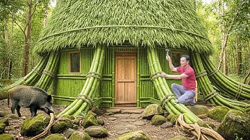 Survival Build Bamboo Tree House - Foraging - Setting Traps in the Jungle