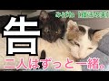 (告)ボスクロは何あっても離さない・ぬしの涙・覚悟・ボスクロの病状悪化。