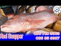 Amazing Red Snapper