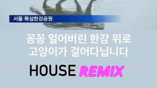 꽁꽁 얼어붙은 한강 위로 고양이가 걸어다닙니다 l House ver. Remix (Prod. Danie1)
