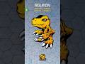 Agumon Main Evolution Line #shorts #digimon #digimontcg #digimoncardgame