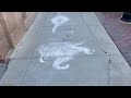 Sidewalk Chalk Day marks downtown Casper