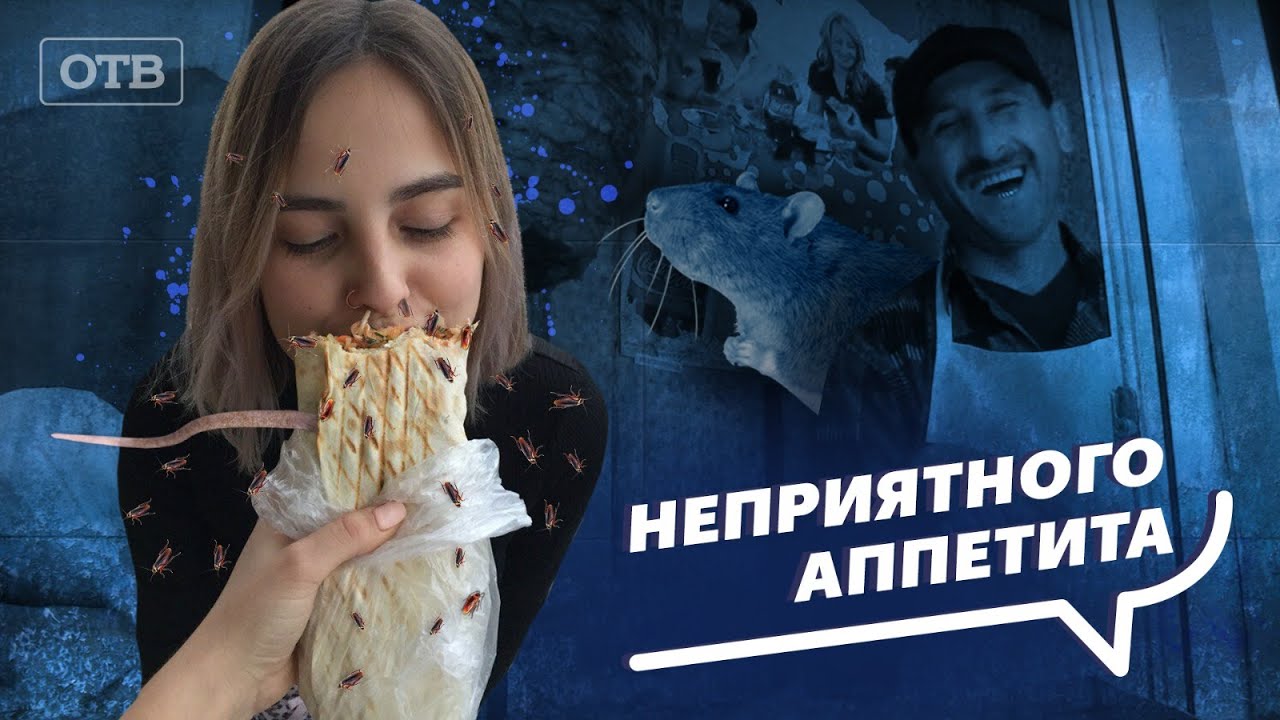 Не ешь шаурму, пока не посмотришь это видео. Как нас травят в киосках ...