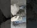 Gritty charcoal water pool crumbling #insane #clay #asmr #oddlysatisfying #watercrumbling r