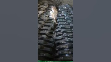 Continued shredding coconut and soft things #shredding