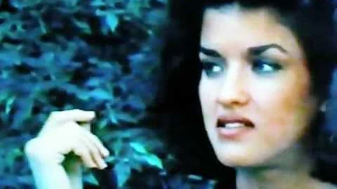 Video Flashback - 1980 Interview With Janice Dicki...