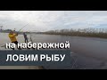 StreetfishingTMN/#рыбалка в Тюмени на городской набережной