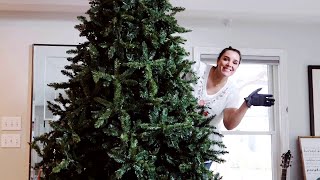 How to Shape Your Christmas Tree