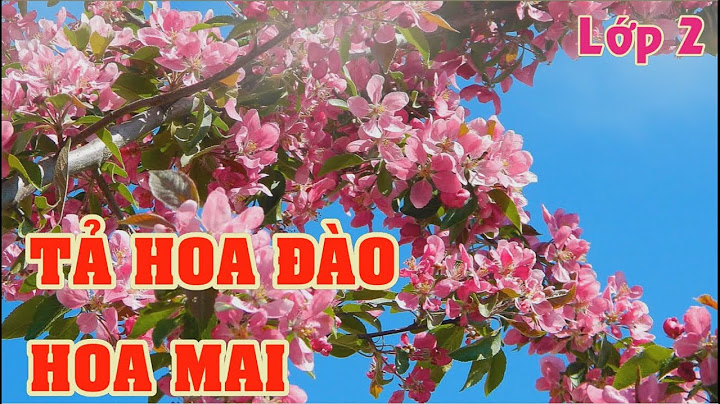 Bài văn tả cây hoa đào lớp 2