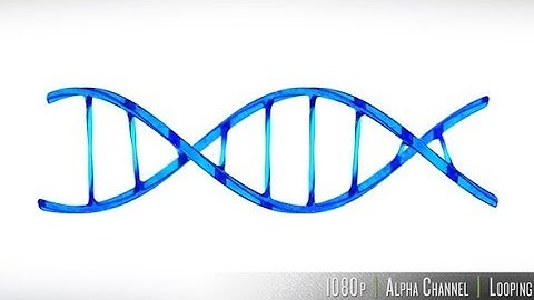 DNA Double Helix Strand Loop | Motion Graphics - Videohive template