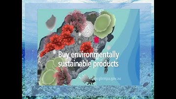 Coral Reef Presentation