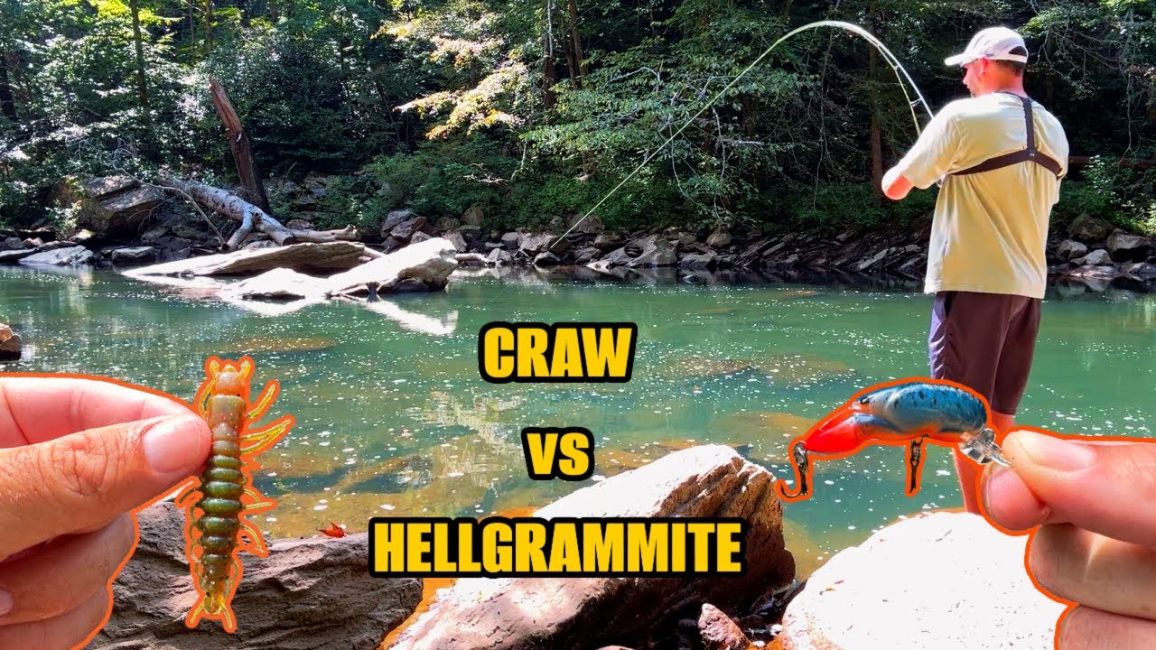 NEW Bright Color Lures in CLEAR Water... YouTube