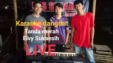karaoke dangdut Tanda merah - Elvy Sukaesih ( Cover ) versi koplo