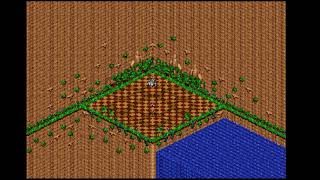 Staff Roll - Sonic 3D Blast - slowed and reverb