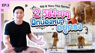 Niji Yoru The Series EP.3 I 2 วิธีง่ายๆ ฝึกให้น้องหมาชอบอยู่ในกรง I หมาสมุด