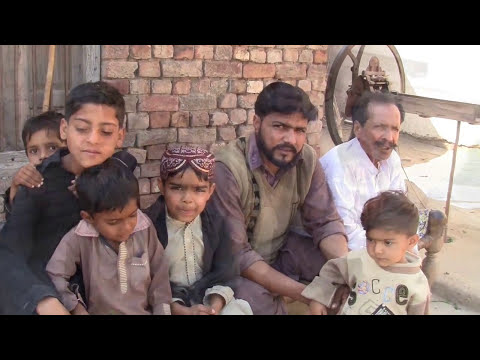 Video: Autosomal Rezessiv Vererbte Blutungsstörungen In Pakistan: Eine Querschnittsstudie Aus Ausgewählten Regionen