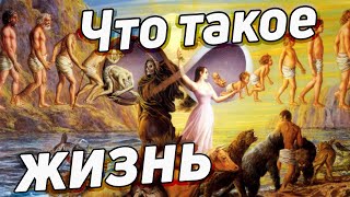 Что такое жизнь Представления и убеждения