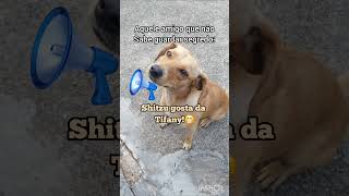 O Caramelo sabe guardar segredo?🤣 #cachorro #humor #memes #pets #engraçado